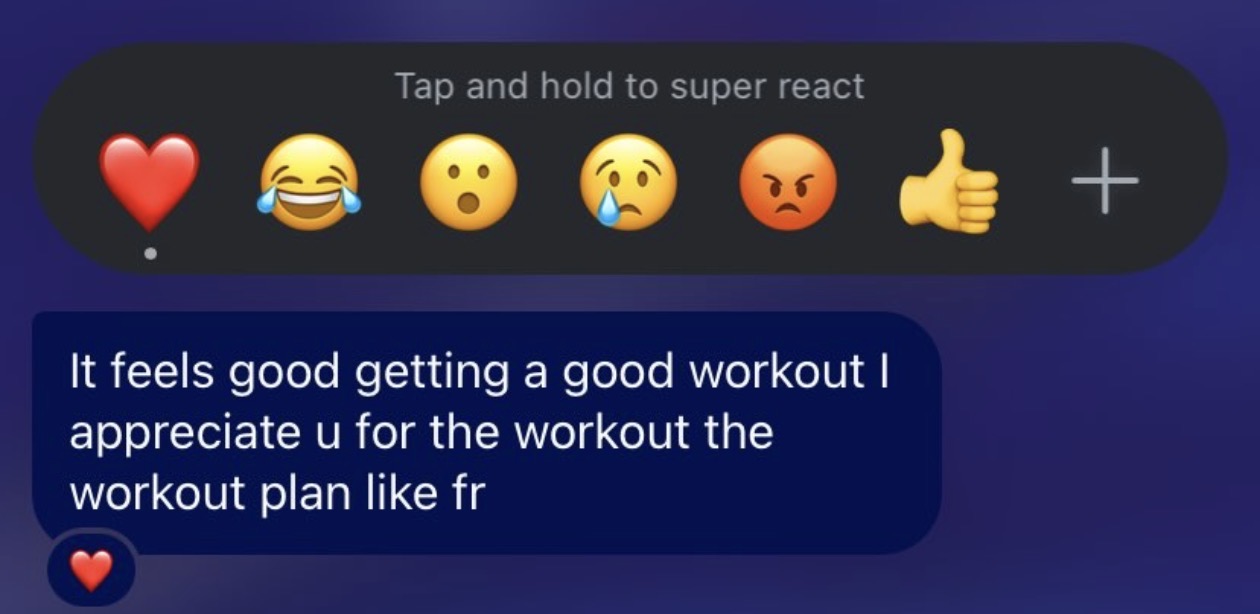 Client message appreciating the workout plan and getting a good workout